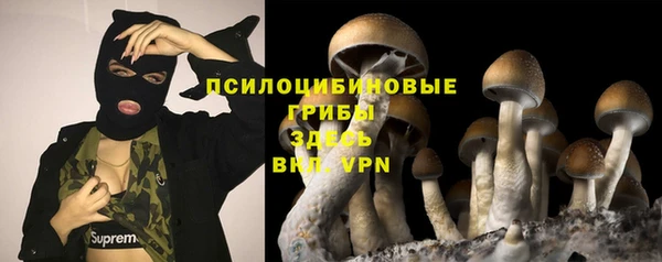 apvp Волосово