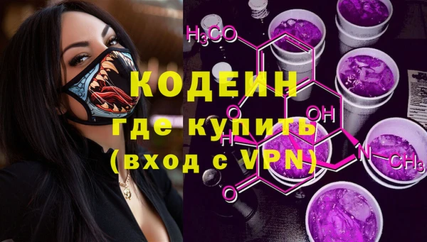 стаф Вязьма
