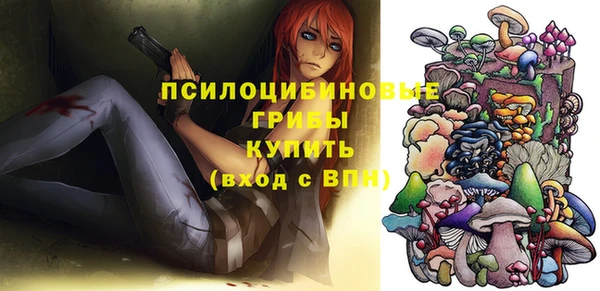 PSILOCYBIN Верхний Тагил