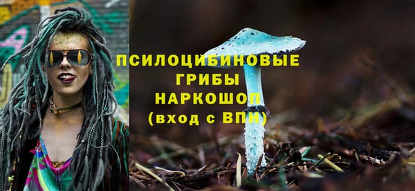 стаф Вязьма